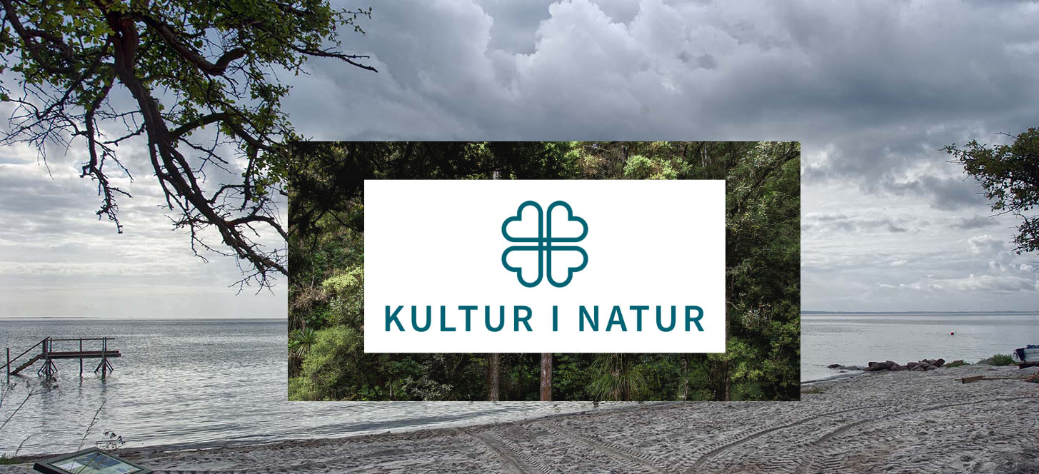 Sommerkursus