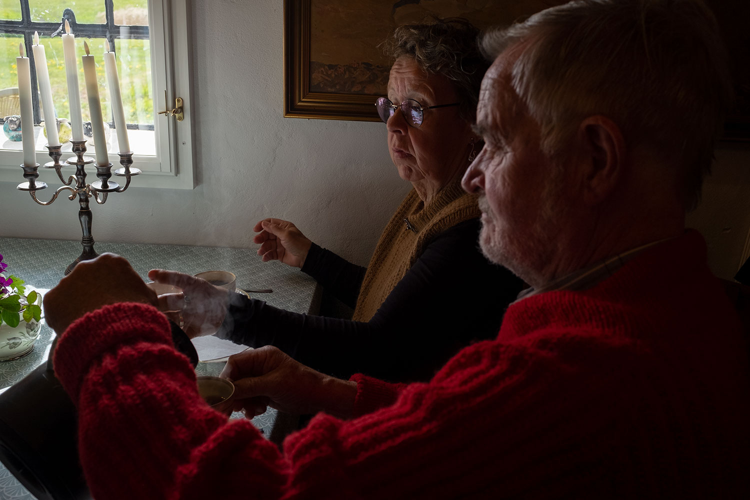 Udflugt til ladby og Hindsholm med Tårup-Frørup Seniorklub