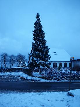 Tårups juletræ 2010 før det tændes