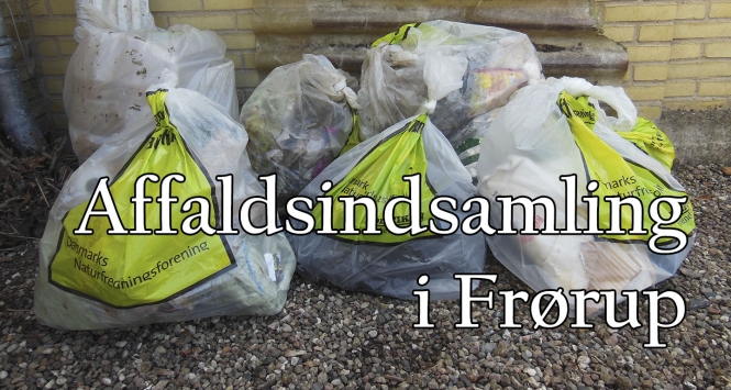 Affaldsindsamling i Frørup
